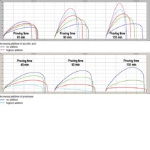 Influence of additives